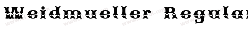 Weidmueller Regular字体转换